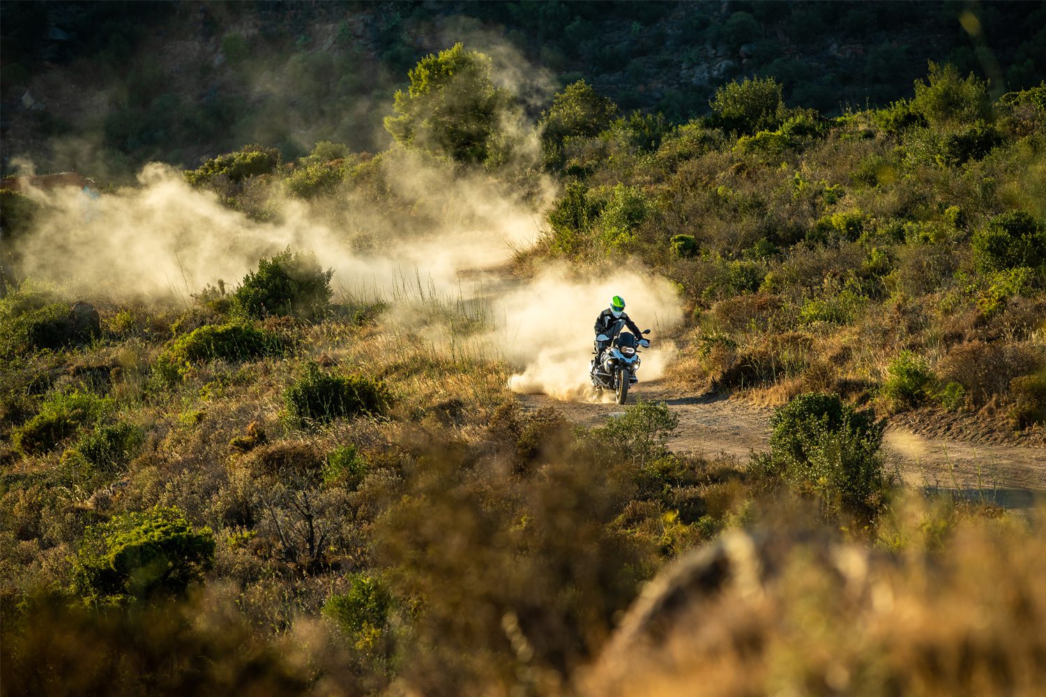 41602-002_05b_1500_blank