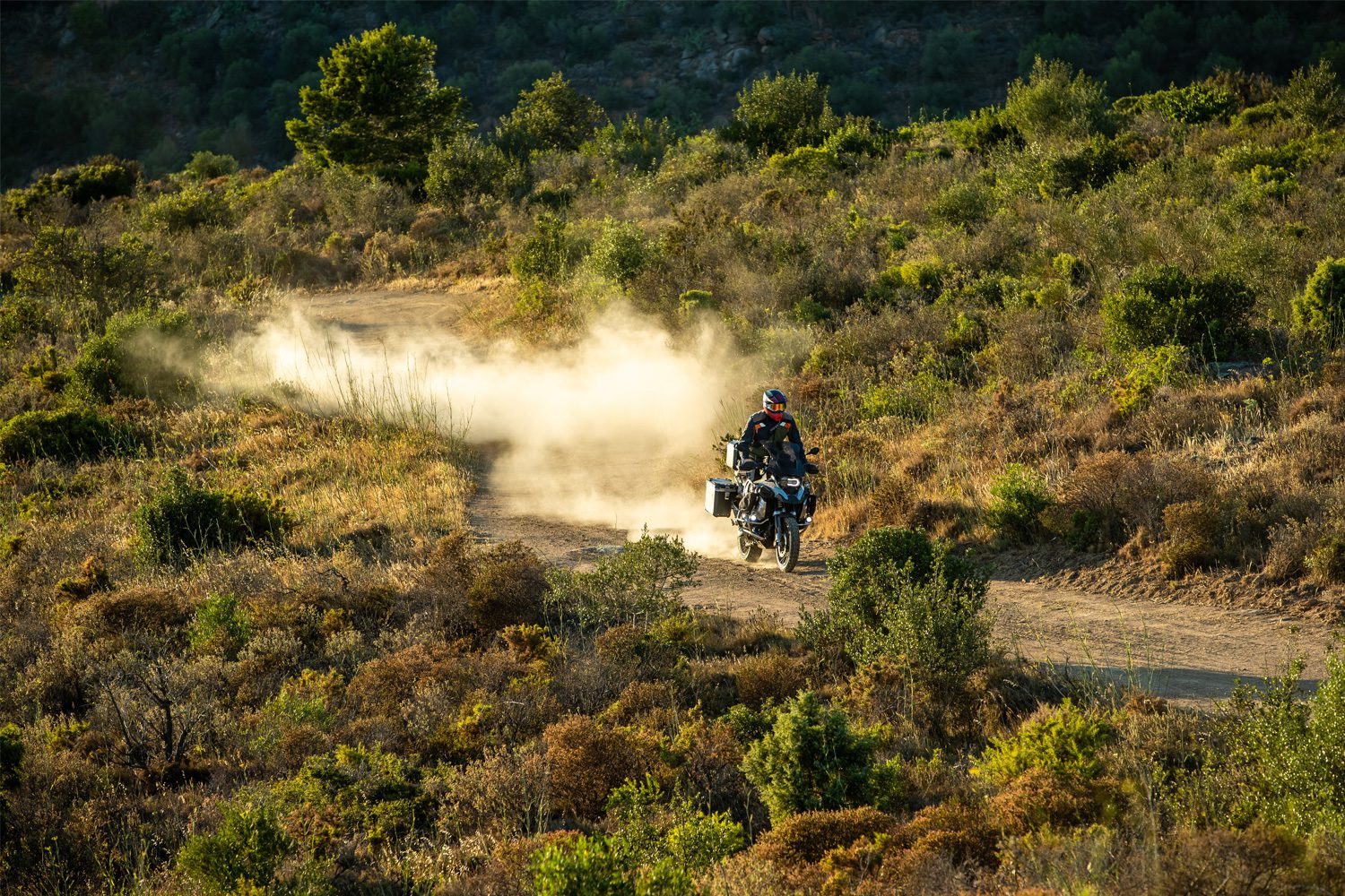 20351-002_07_1500_blank